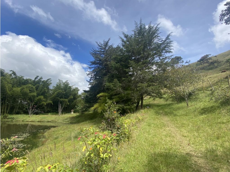 Lote en Vender en Medellín — foto 6