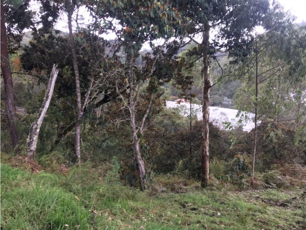 Lote en Vender en Guarne