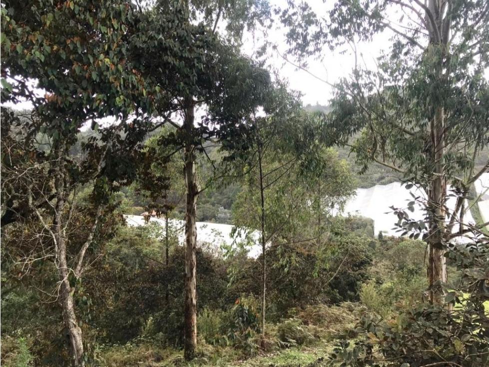 Lote en Vender en Guarne — foto 2