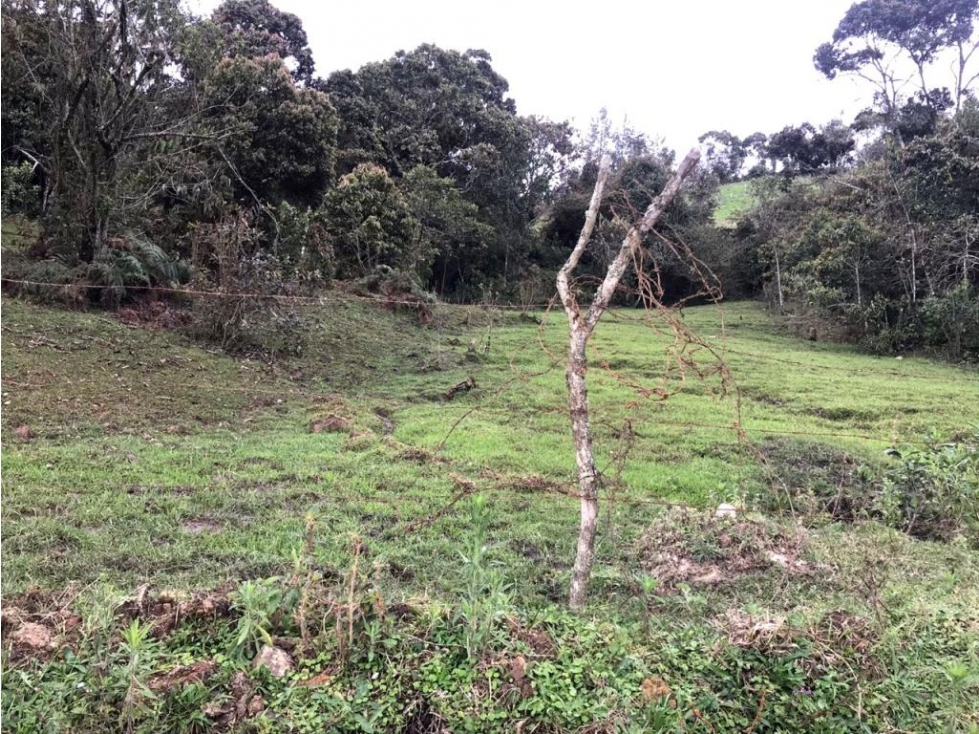 Lote en Vender en Guarne — foto 3