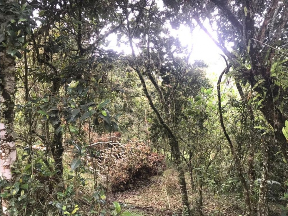 Lote en Vender en Guarne — foto 4