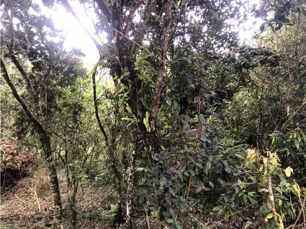 Lote en Vender en Guarne — foto 5