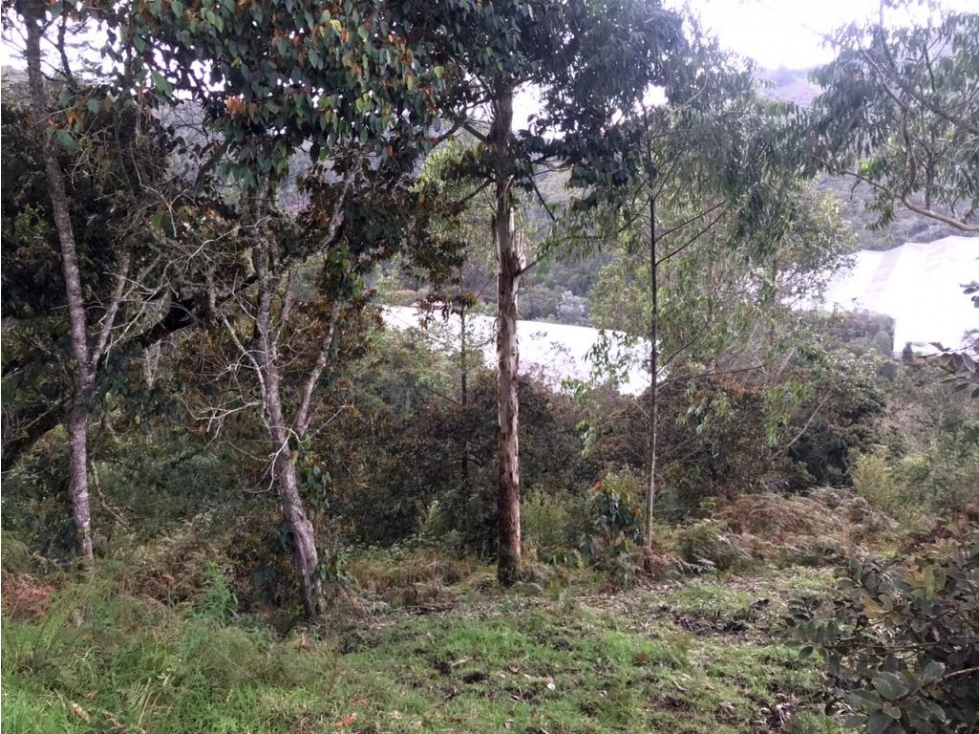 Lote en Vender en Guarne — foto 6