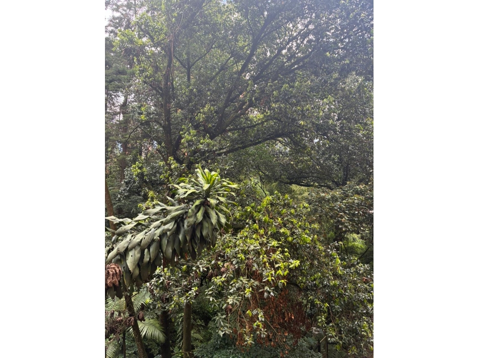 Venta apartamento Medellín El Poblado El Tesoro — foto 6