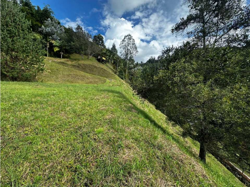 Lote para la venta alto de las palmas - 4
