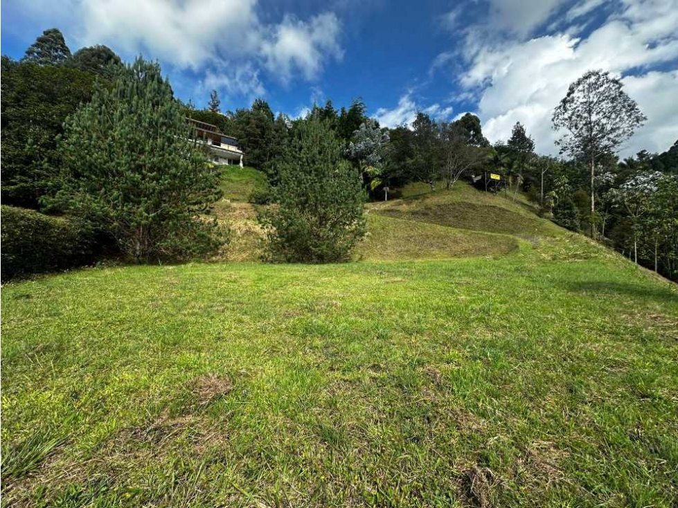 Lote para la venta alto de las palmas - 5