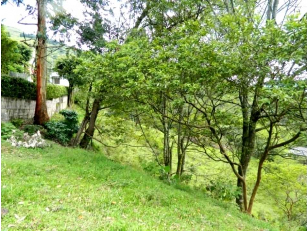 VENDO LOTE URBANO INDEPENDIENTE ENVIGADO LAS ANTILLAS — foto 3