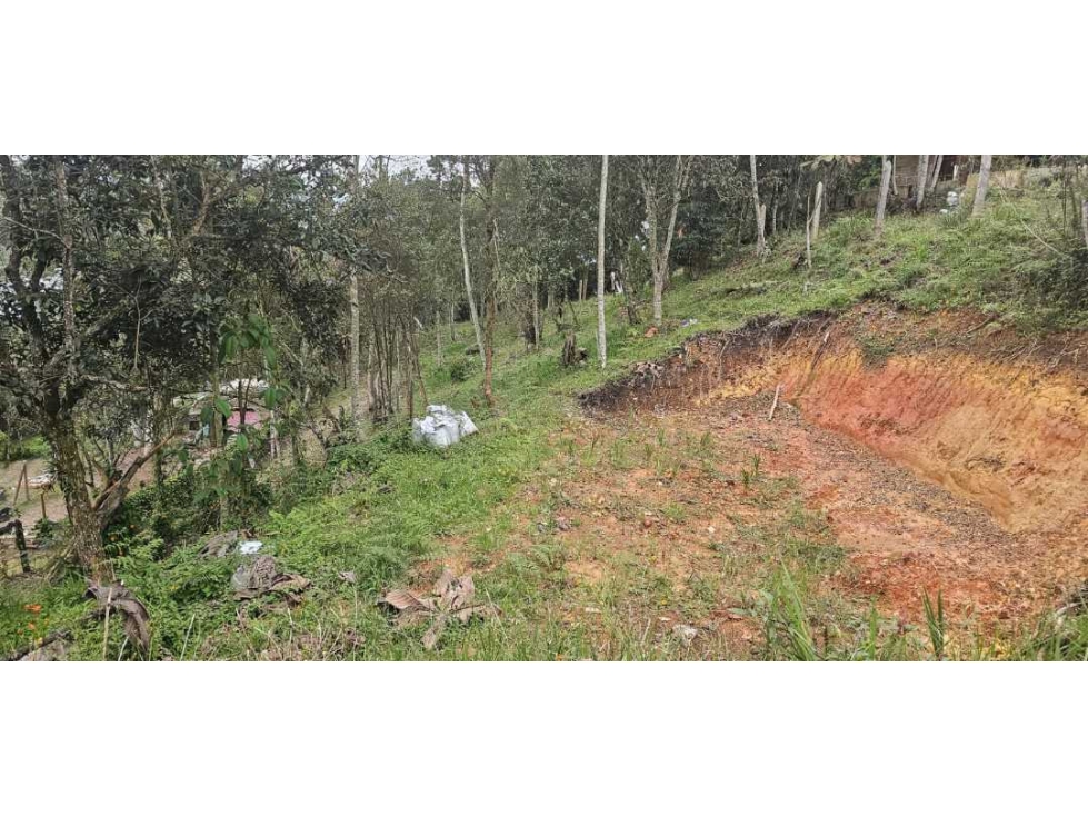 VENDO LOTE INDEPENDIENTE CON LICENCIA EN SANTA ELENA — foto 2