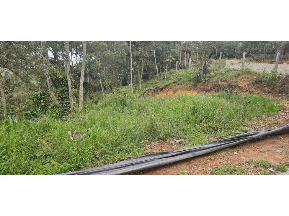 VENDO LOTE INDEPENDIENTE CON LICENCIA EN SANTA ELENA — foto 3