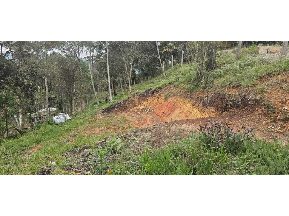 VENDO LOTE INDEPENDIENTE CON LICENCIA EN SANTA ELENA — foto 4