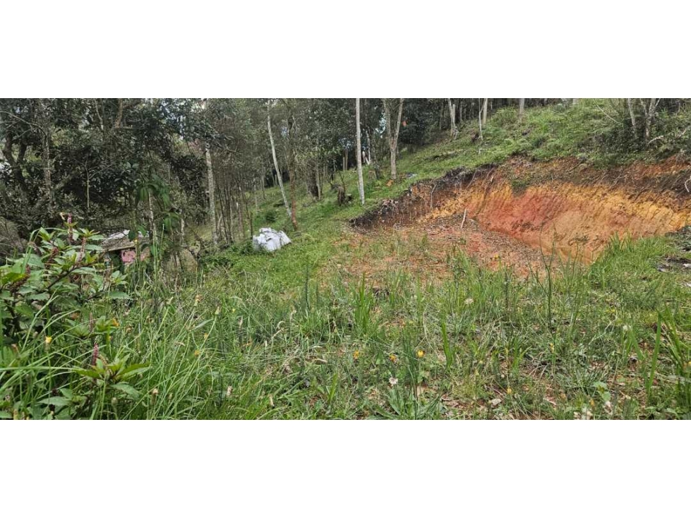 VENDO LOTE INDEPENDIENTE CON LICENCIA EN SANTA ELENA — foto 5