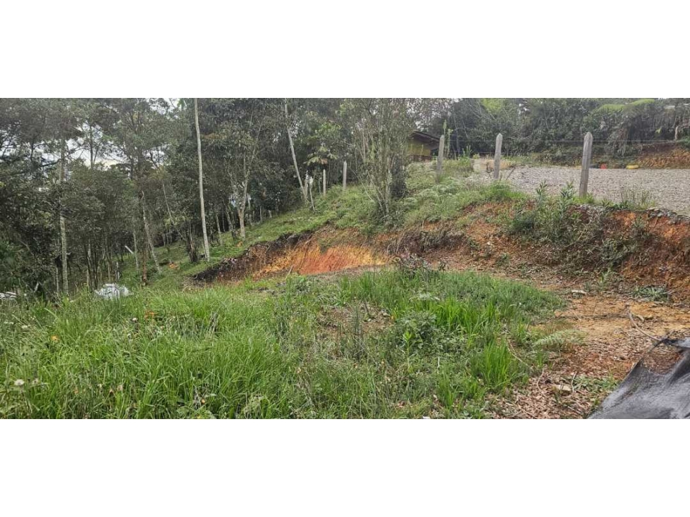 VENDO LOTE INDEPENDIENTE CON LICENCIA EN SANTA ELENA — foto 6