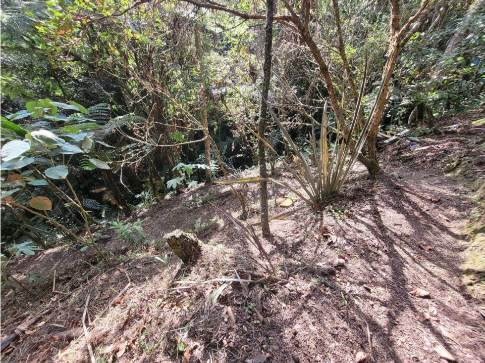 Vendo Casa Campestre Rionegro a 7 minutos del Aeropuerto JMC — foto 2