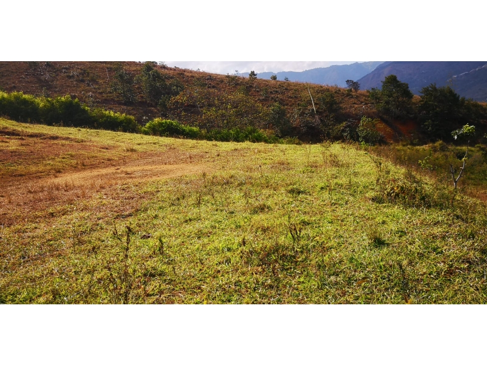 Venta de lote en Copacabana a 10 minutos del parque — foto 4