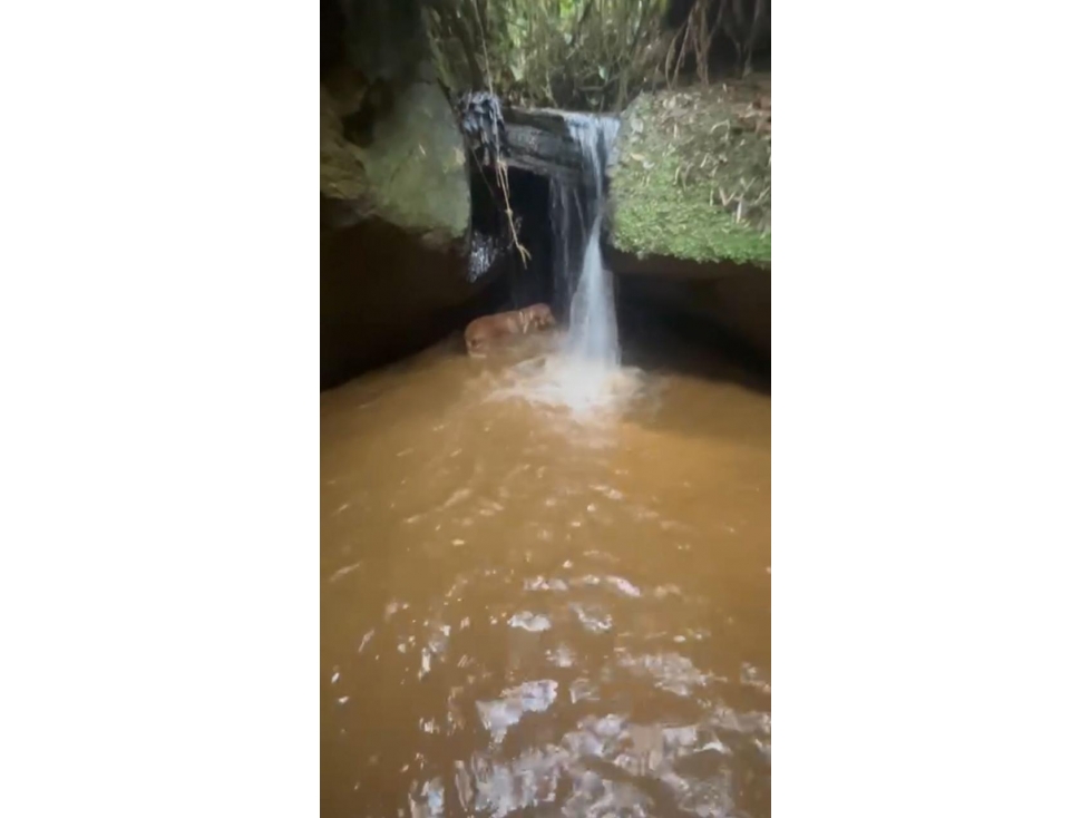 Se vende Casa Campestre Rionegro a 7 minutos del Aeropuerto JMC — foto 3