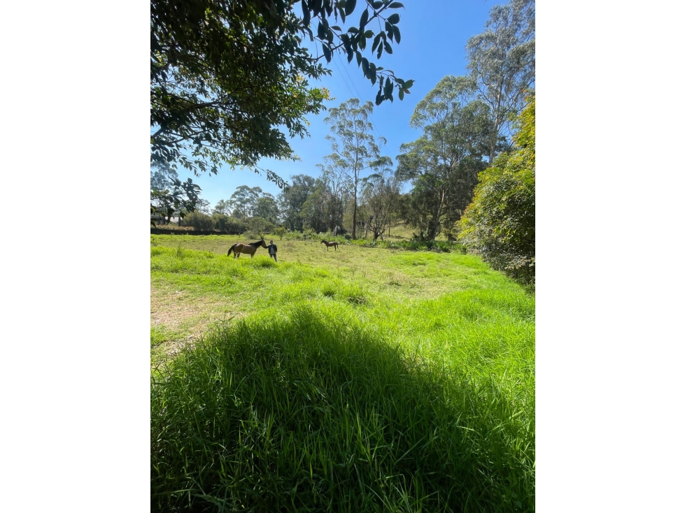LLANO GRANDE LOTE INDEP. EN PRECIO DE OPORTUNIDAD CERCA A RIGO — foto 2