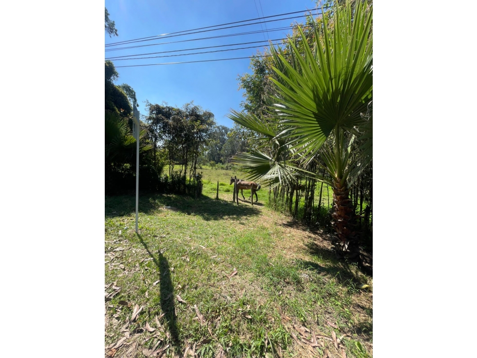 LLANO GRANDE LOTE INDEP. EN PRECIO DE OPORTUNIDAD CERCA A RIGO — foto 5