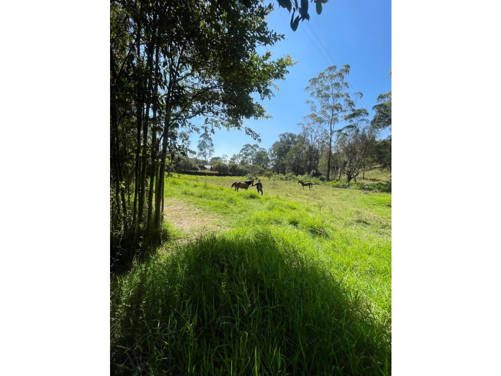LLANO GRANDE LOTE INDEP. EN PRECIO DE OPORTUNIDAD CERCA A RIGO — foto 6