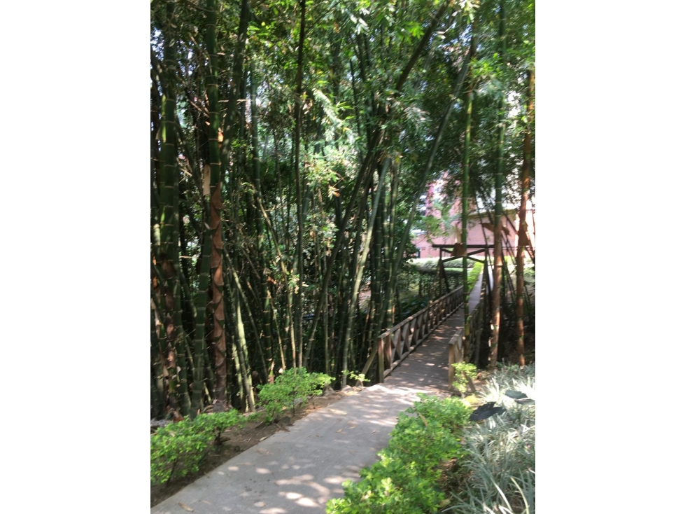 ENVIGADO LOMA DE LAS BRUJAS APTO MUY AMPLIO EN UNIDAD SUPER COMPLETA — foto 3