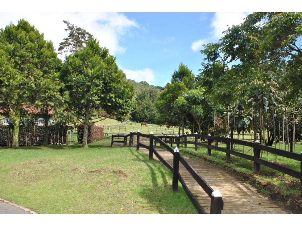  ALTO DE LAS PALMAS LOTE EN PARCELACION (ENVIGADO ANTIOQUIA) — foto 6