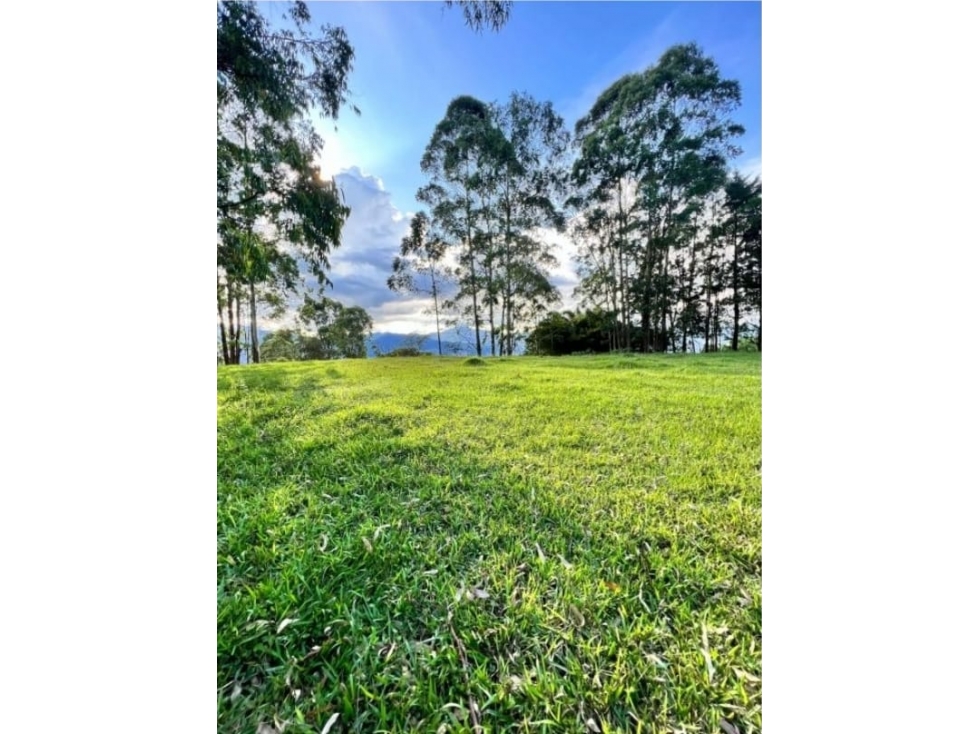 ESCOBERO PARTE BAJA EXCELENTE LOTE INDEPENDIENTE — foto 4