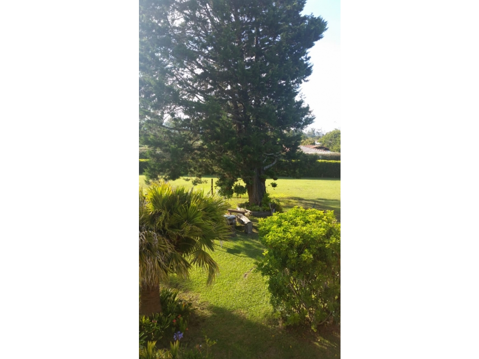 LLANO GRANDE EXCELENTE FINCA CON UBICACION CERCANA AL AEROPUERTO — foto 4