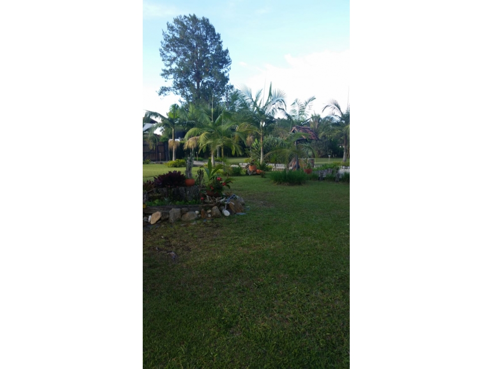LLANO GRANDE EXCELENTE FINCA CON UBICACION CERCANA AL AEROPUERTO — foto 6