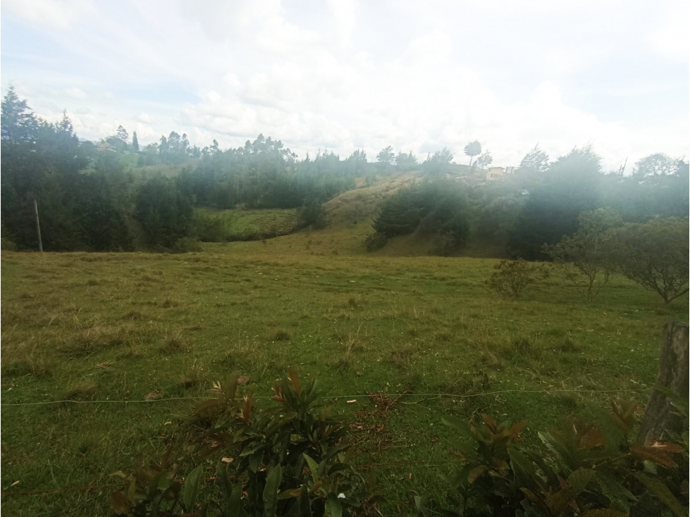 HERMOSO LOTE EN VENTA EN VEREDA SANTA BÁRBARA DE RIONEGRO ANTIOQUIA