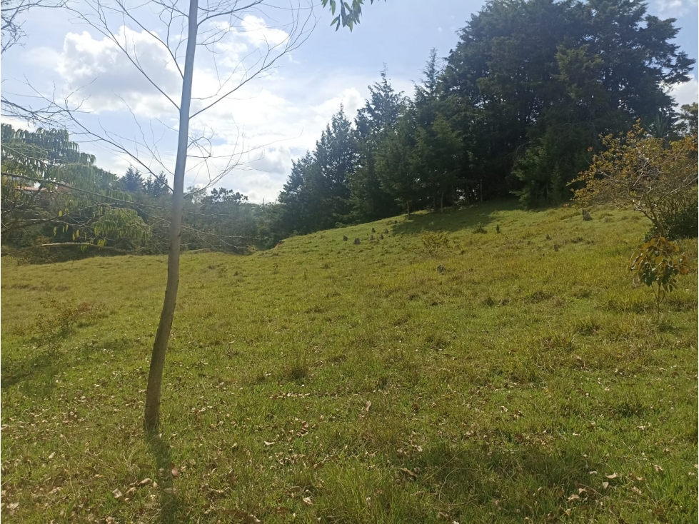 HERMOSO LOTE EN VENTA EN VEREDA SANTA BÁRBARA DE RIONEGRO ANTIOQUIA — foto 2