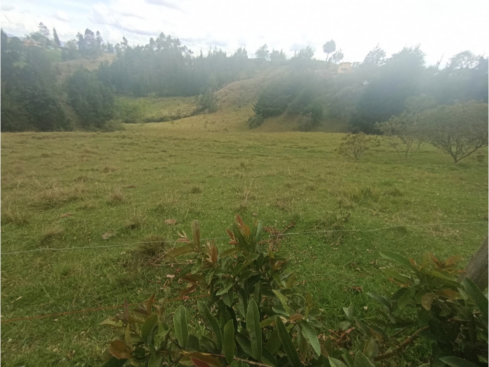 HERMOSO LOTE EN VENTA EN VEREDA SANTA BÁRBARA DE RIONEGRO ANTIOQUIA — foto 3