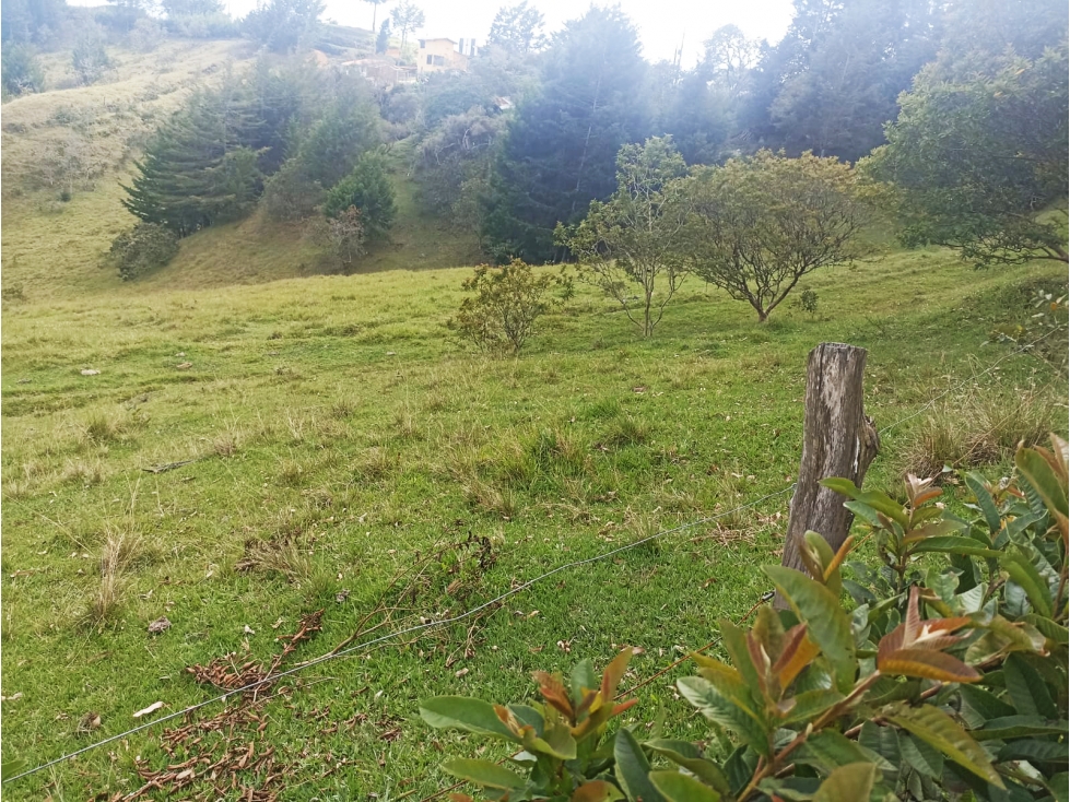 HERMOSO LOTE EN VENTA EN VEREDA SANTA BÁRBARA DE RIONEGRO ANTIOQUIA — foto 4