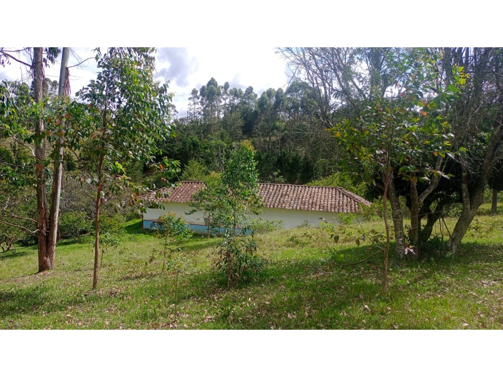 HERMOSO LOTE EN VENTA EN VEREDA SANTA BÁRBARA DE RIONEGRO ANTIOQUIA — foto 5