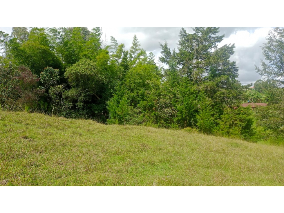HERMOSO LOTE EN VENTA EN VEREDA SANTA BÁRBARA DE RIONEGRO ANTIOQUIA — foto 6