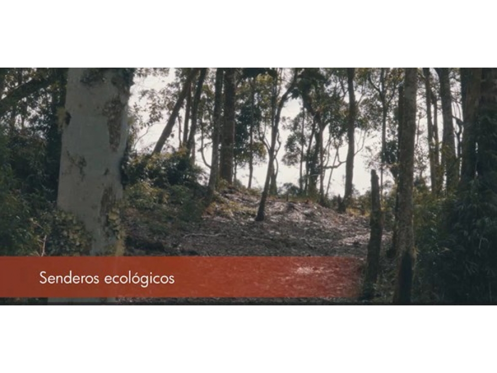 LOTE EN PARCELACIÓN EN VENTA ALTO DE LAS PALMAS ENVIGADO — foto 4