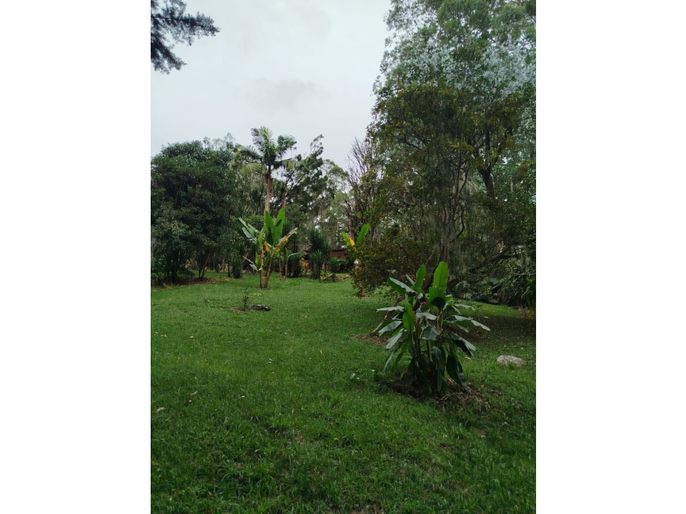 SAN LUCAS LOTE Y CASA INDEPENDIENTE CASI UNICO RURAL-SUBURBANO