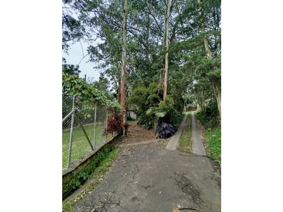 SAN LUCAS LOTE Y CASA INDEPENDIENTE CASI UNICO RURAL-SUBURBANO — foto 2