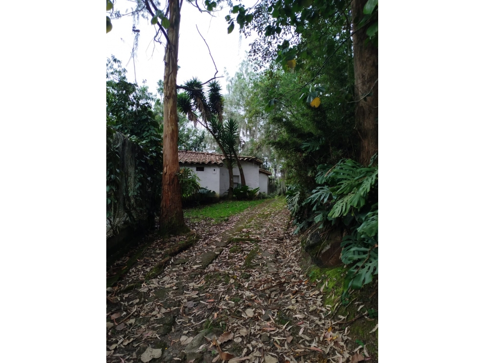 SAN LUCAS LOTE Y CASA INDEPENDIENTE CASI UNICO RURAL-SUBURBANO — foto 3