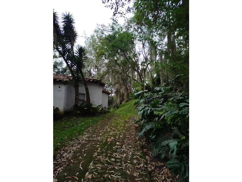 SAN LUCAS LOTE Y CASA INDEPENDIENTE CASI UNICO RURAL-SUBURBANO — foto 4