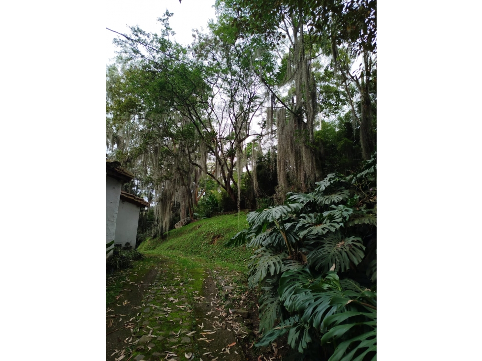 SAN LUCAS LOTE Y CASA INDEPENDIENTE CASI UNICO RURAL-SUBURBANO — foto 5