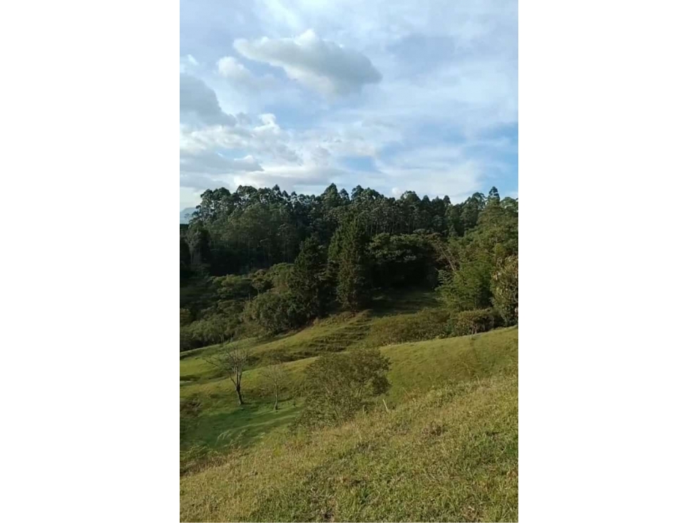 ENVIGADO EXCELENTE LOTE CAMPESTRE CERCA A TODO — foto 4