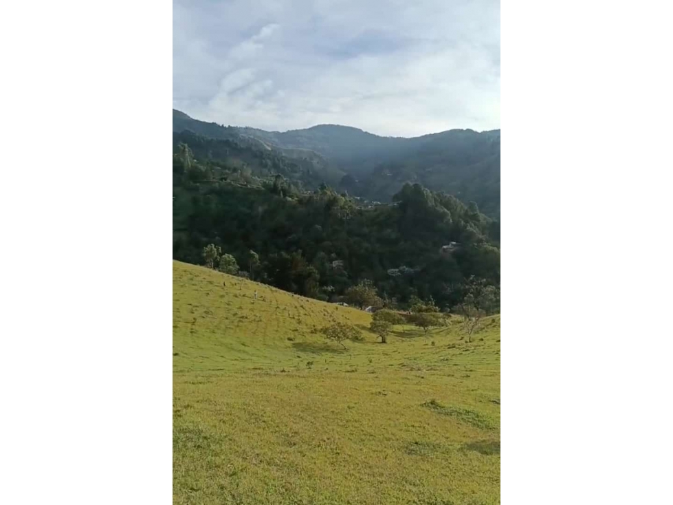 ENVIGADO EXCELENTE LOTE CAMPESTRE CERCA A TODO — foto 5