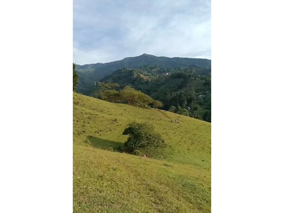ENVIGADO EXCELENTE LOTE CAMPESTRE CERCA A TODO — foto 6