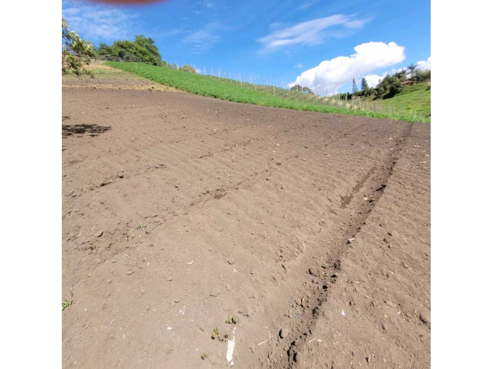 Lotes en Marinilla 100% escritura a $295.000.000