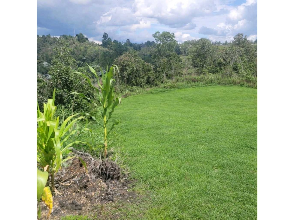 Lote SAJONIA 7600 mts - Hermosa vista / $1.100.000.000