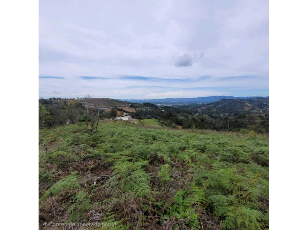 Lote SAJONIA 7600 mts - Hermosa vista / $1.100.000.000 — foto 2