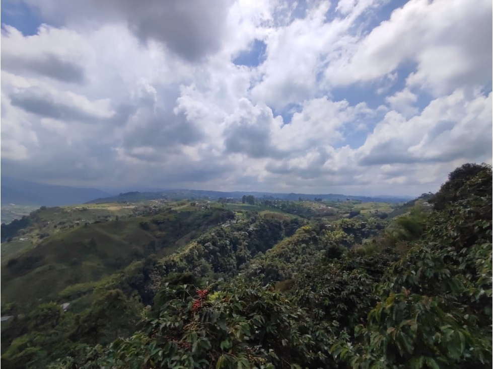 Finca cafetera para la venta en la bella Pereira!!!