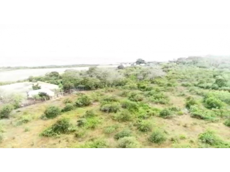 VENDO TERRENO EN CARTAGENA 350MIL METROS CS — foto 5