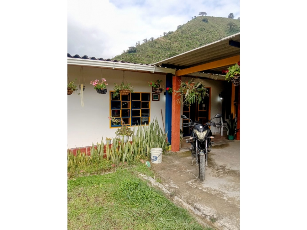 Cabaña para la venta en Vda San andres,Chinchina, Caldas!!! - 2