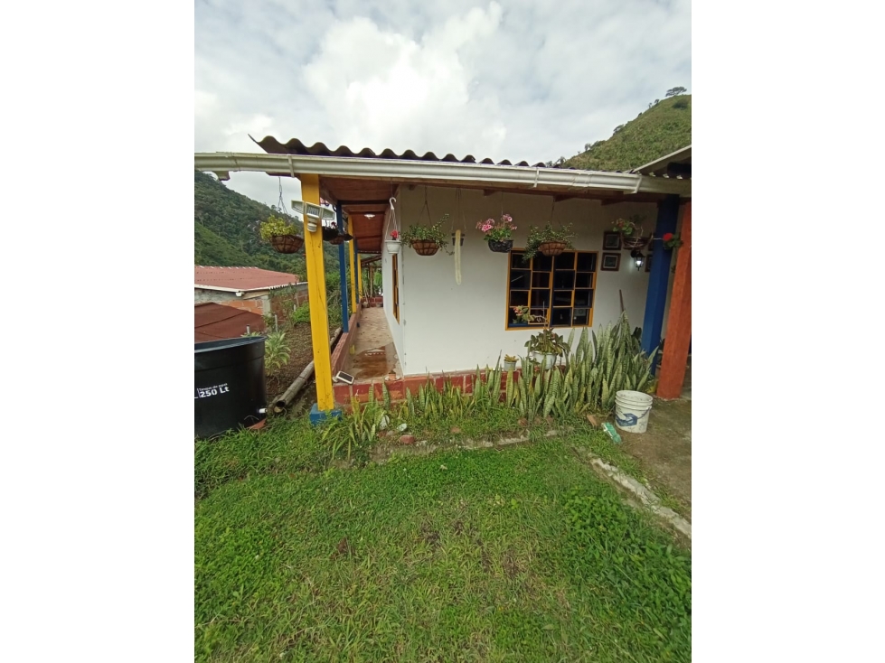 Cabaña para la venta en Vda San andres,Chinchina, Caldas!!! - 3