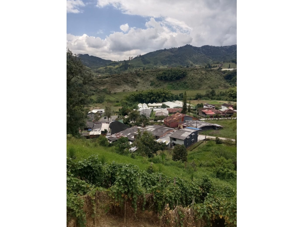 Finca para la venta en la Florida, Pereira, Risaralda!! — foto 5